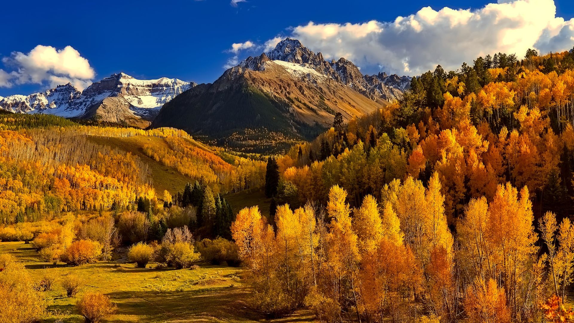 Golden Colorado Mountainside