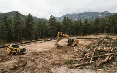 The Step-by-Step Land Clearing Process